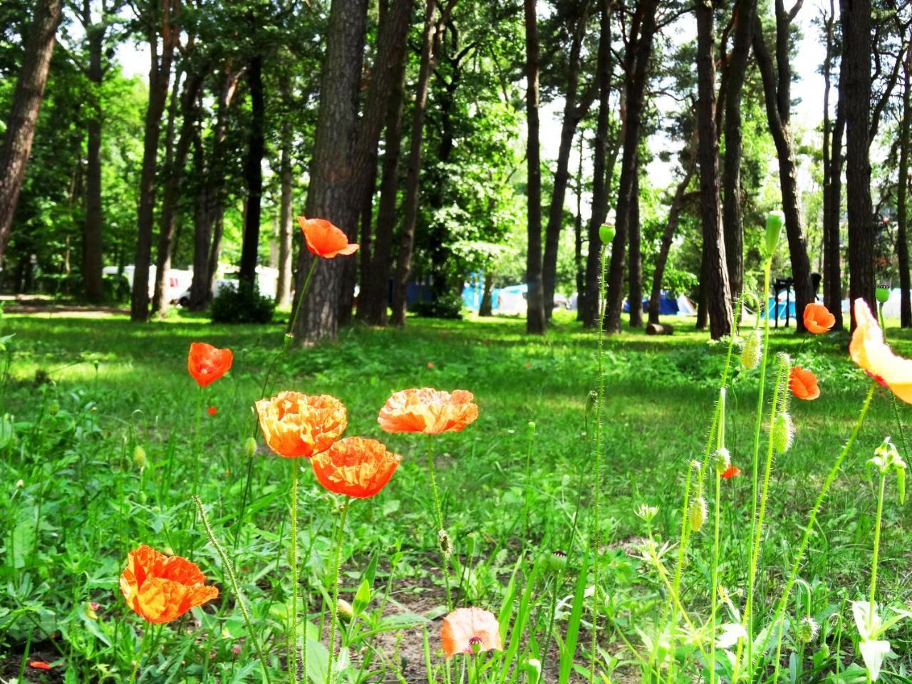 Willa Sopot 34 przy plaży Zewnętrze zdjęcie